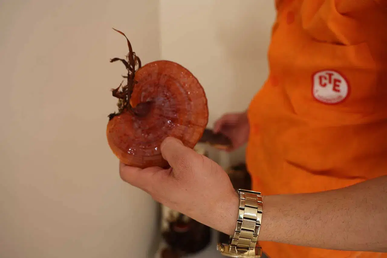 Cezaevinde üretildi! Kilosu 15 bin TL'ye kadar çıkıyor