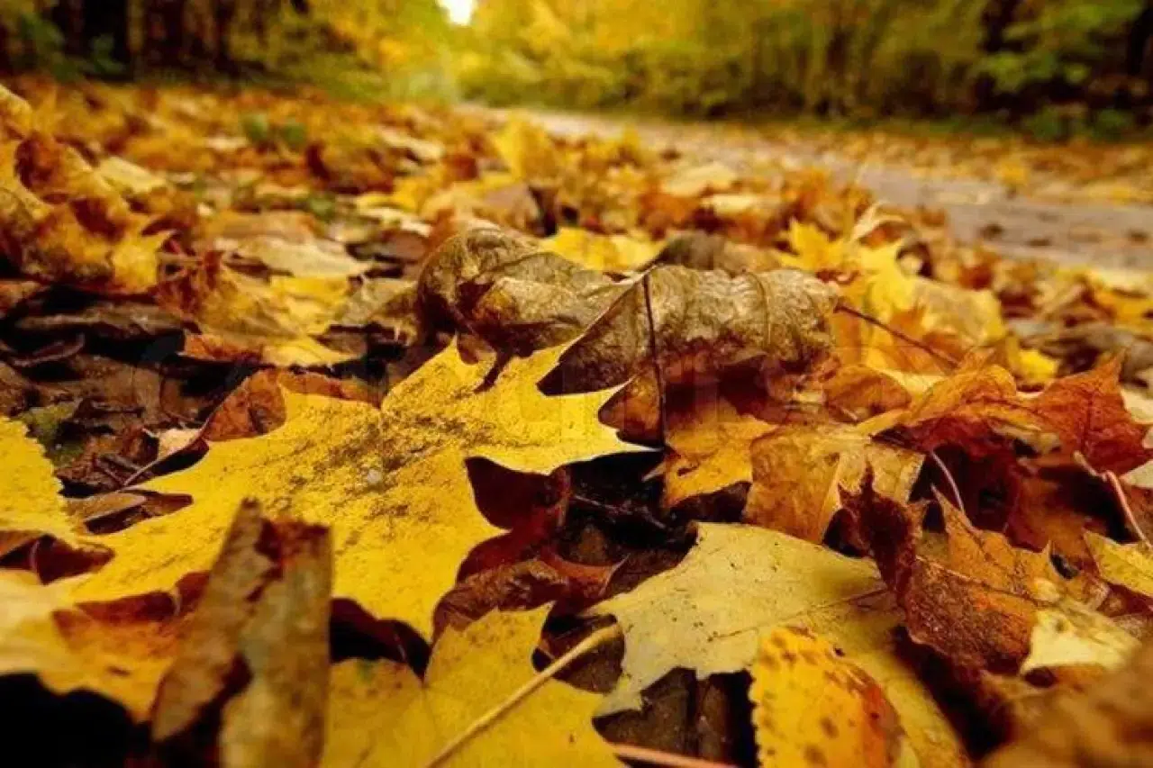 Hoş Geldin Kasım Mesajları 2025