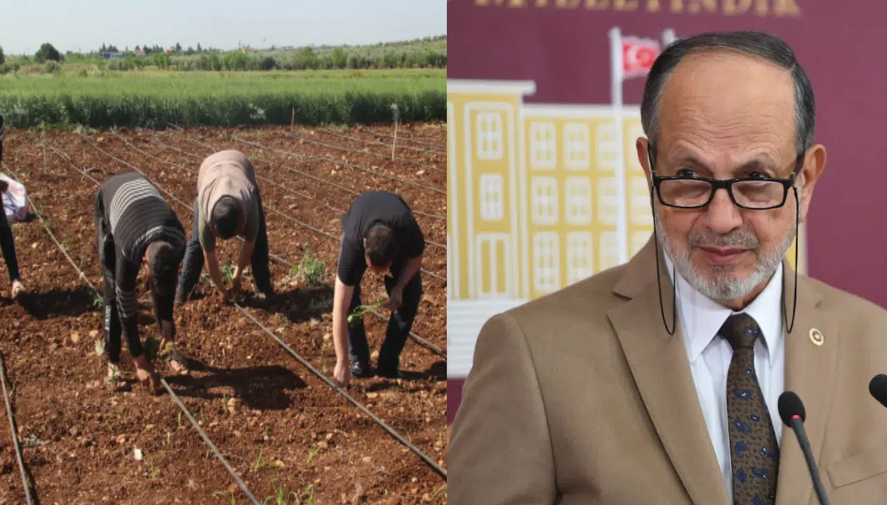 Konya Milletvekili Yüksel uyardı: "Mevsimlik işçiler sağlık hizmetlerinden yoksun kalıyor!"