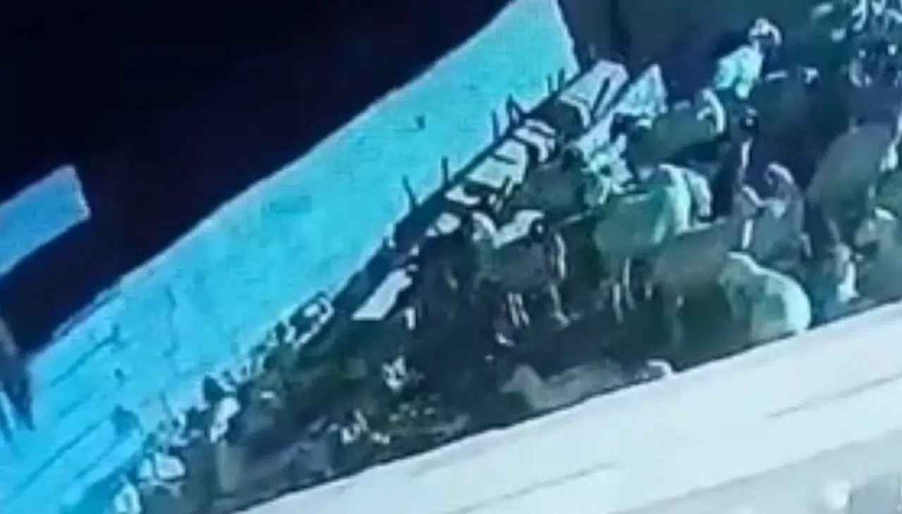 Konya'daki kurt baskını kameraya yansıdı! Küçükbaş hayvanı böyle telef etti