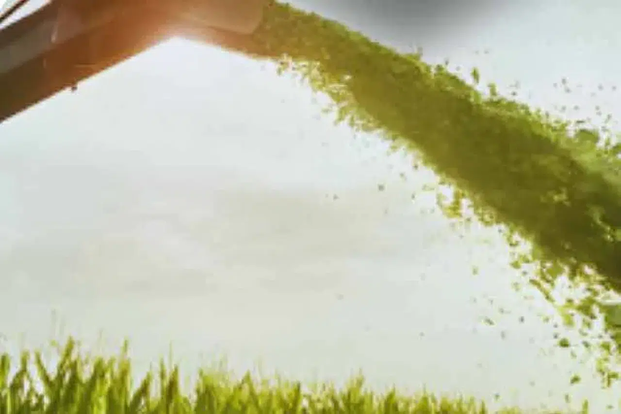 Belediyeden büyük destek! Konya'da yüzde 75 hibe desteği başladı