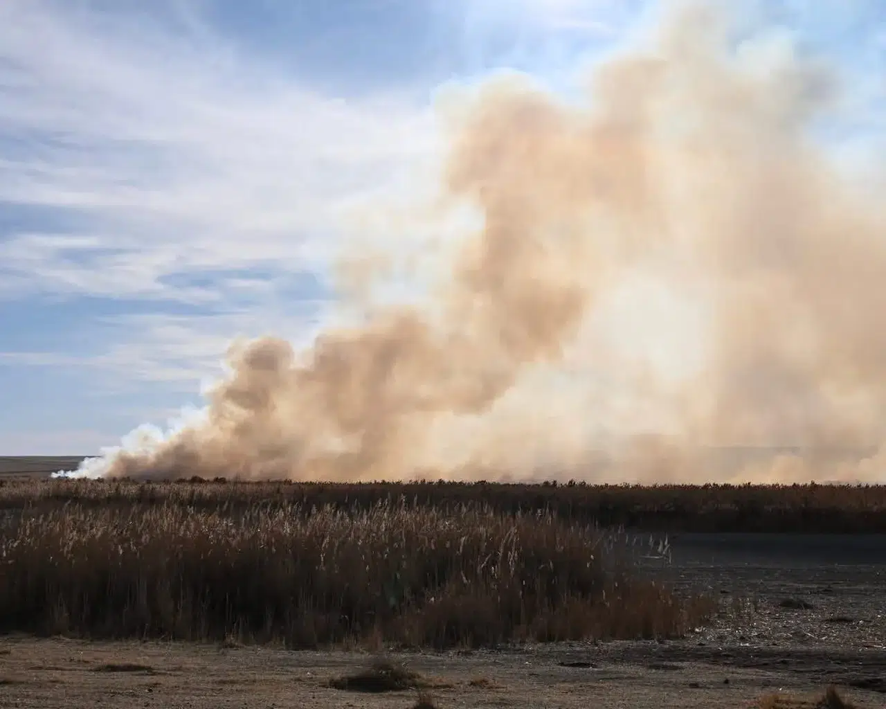 Konya'nın o ilçesinde büyük yangın