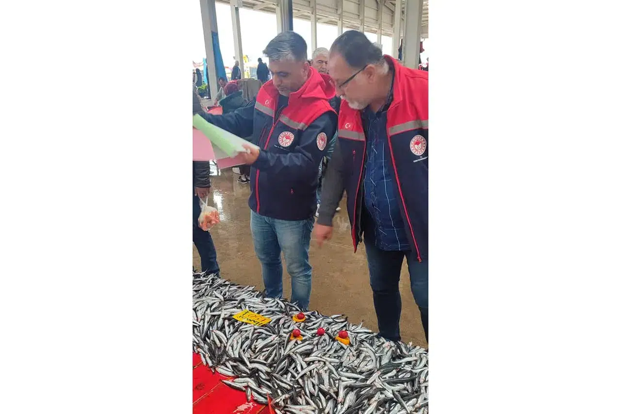 Konya’da balık satış yerlerine yakın takip