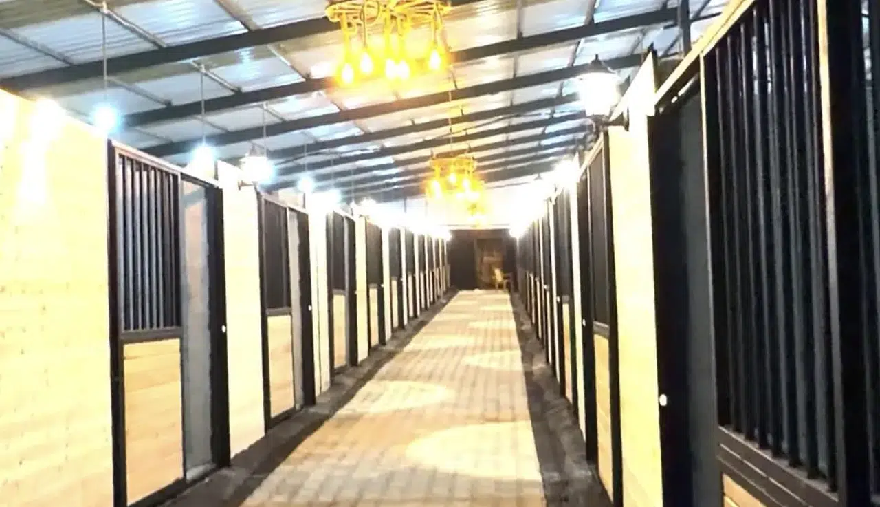 Konya’da yeni çiftlik açılıyor! İçinde at oteli de bulunacak