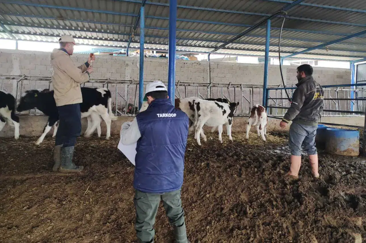 Konya'da ekipler sahada! Aşılama çalışmaları sürüyor