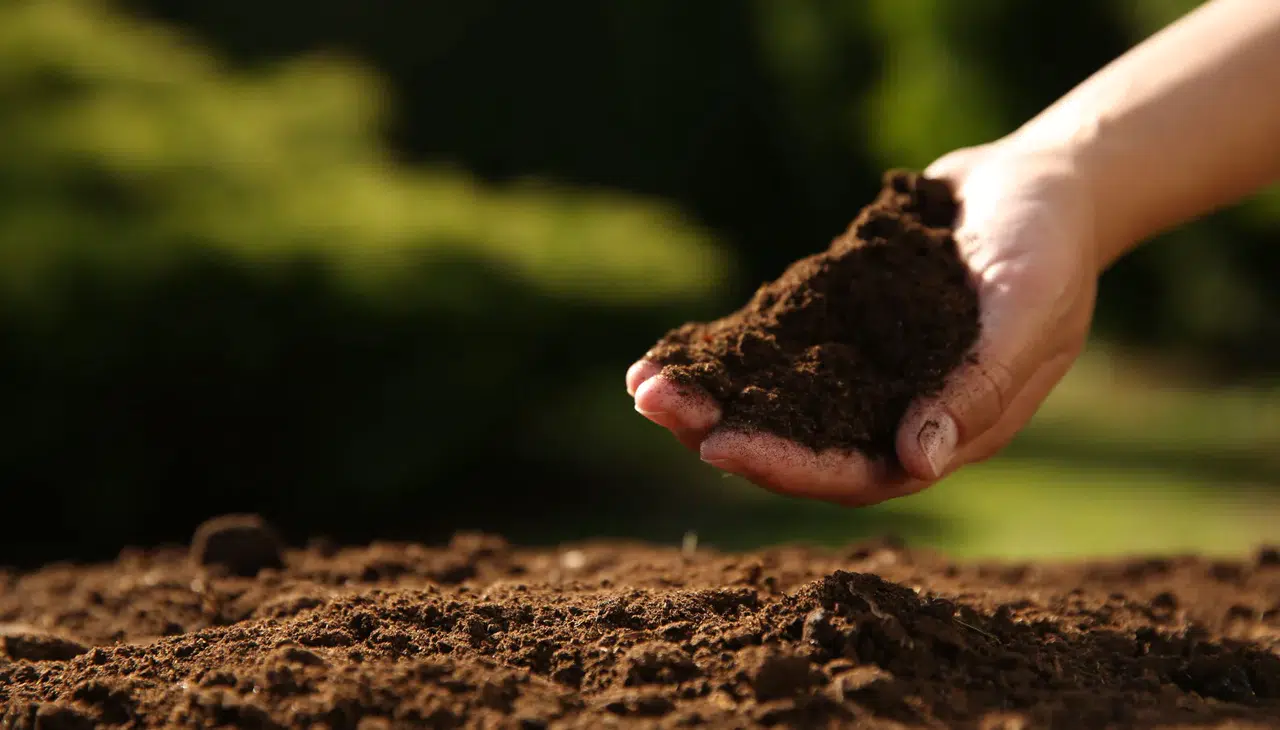 Dünya Toprak Günü’nde Konya’dan kritik mesaj: “Sağlıklı kent, sağlıklı toprakla mümkün”