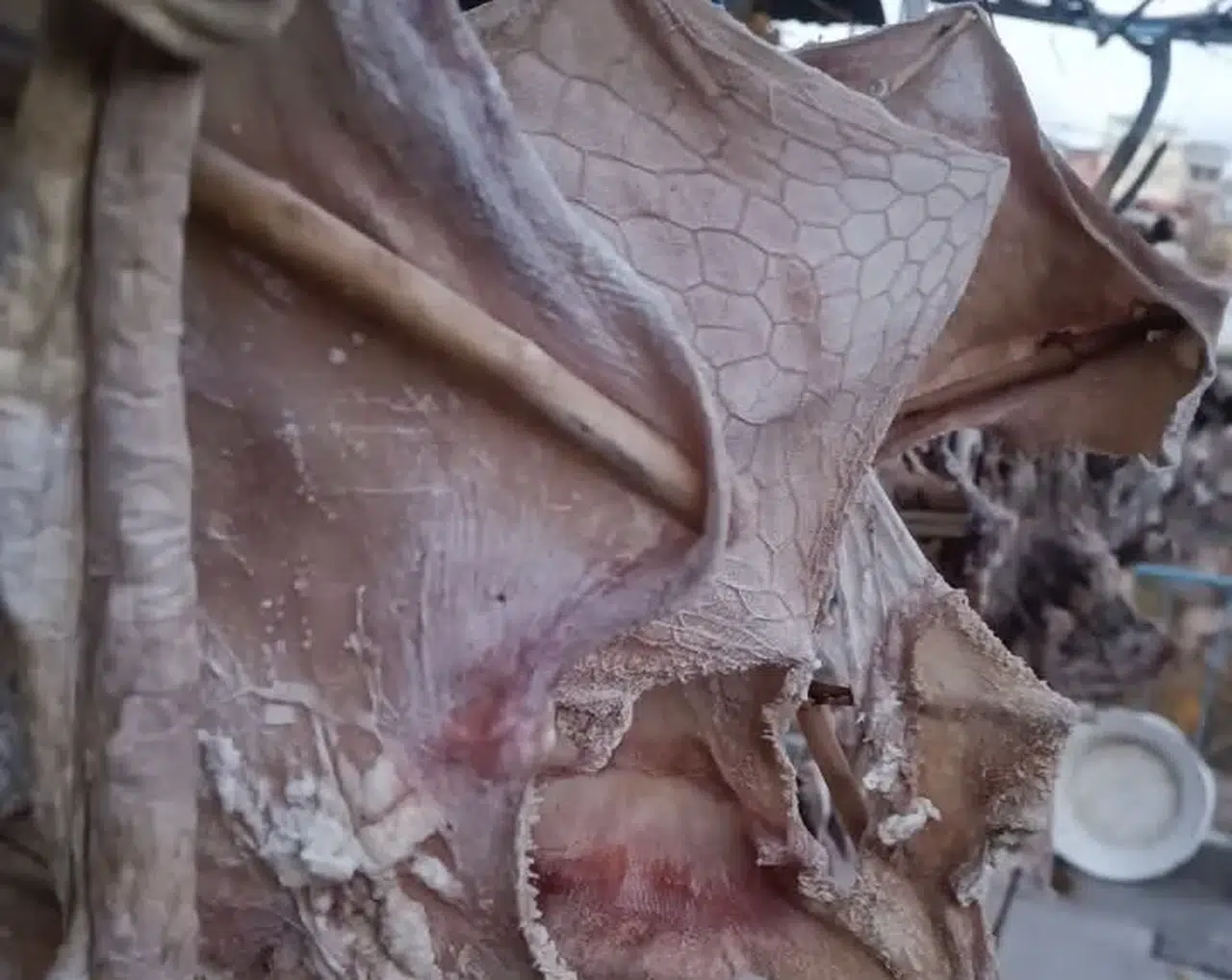 Özel-Konya’da bu etler merak uyandırdı! Dikkat çeken fotolar