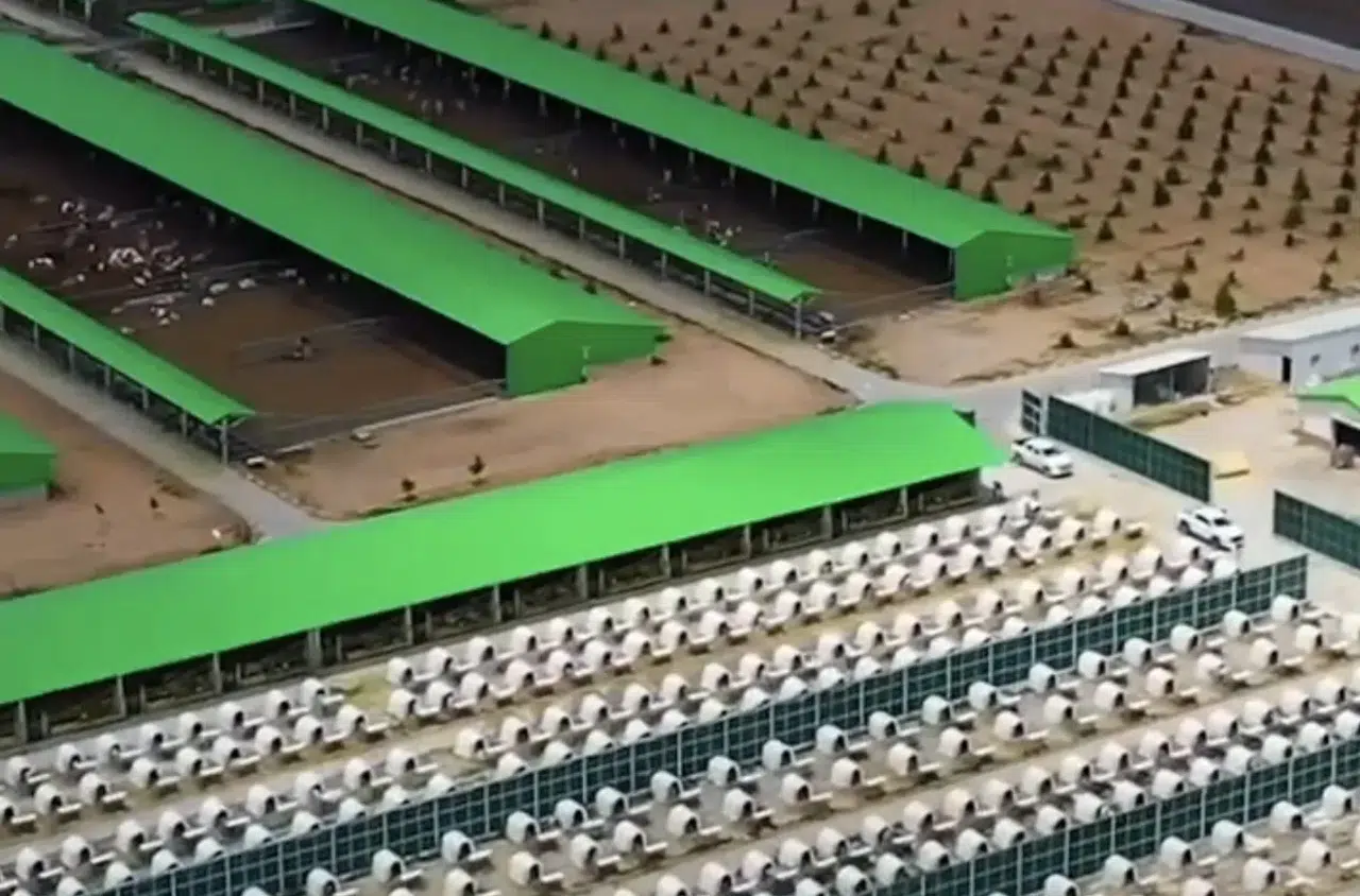 Konya’da 288 bin dekarlık dev üs! Bakan Yumaklı: Başka ülke değil bizim üssümüz