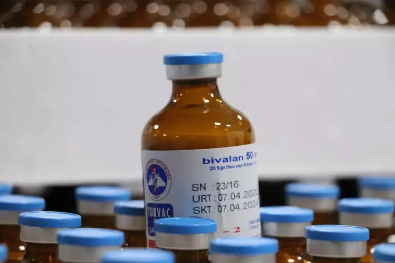 Selçuklu’da şap aşılaması devam ediyor