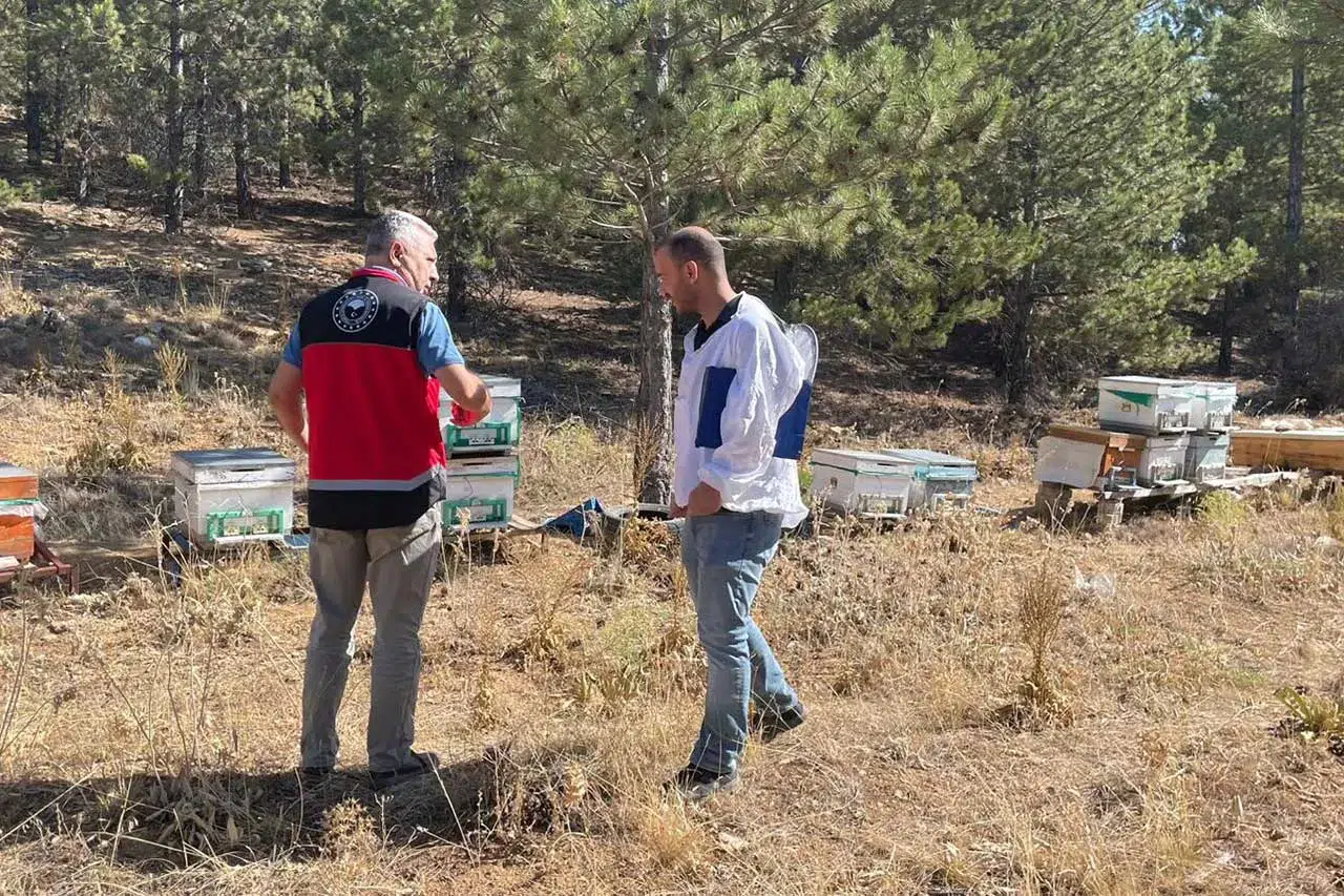 Beyşehir’de arılı kovan sayımları yapılıyor