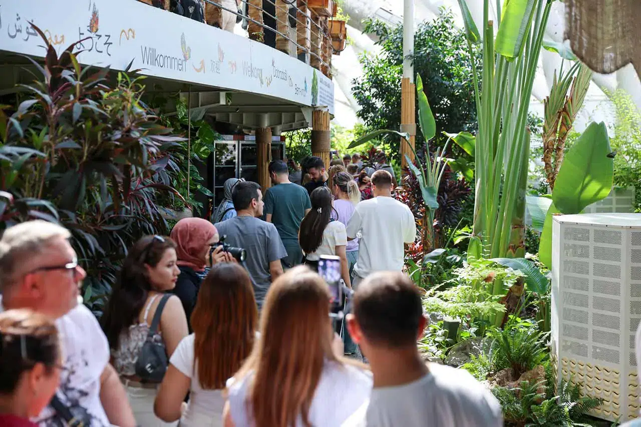 Konya Tropikal Kelebek Bahçesi'ne ziyaretçi akını! Ziyaretçi sayısı açıklandı