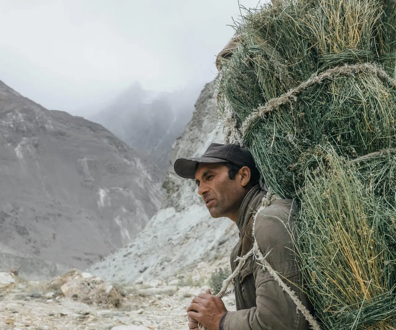 Gayrisafi Yurt İçi Hasıla'da tarımın payı eksiye düştü