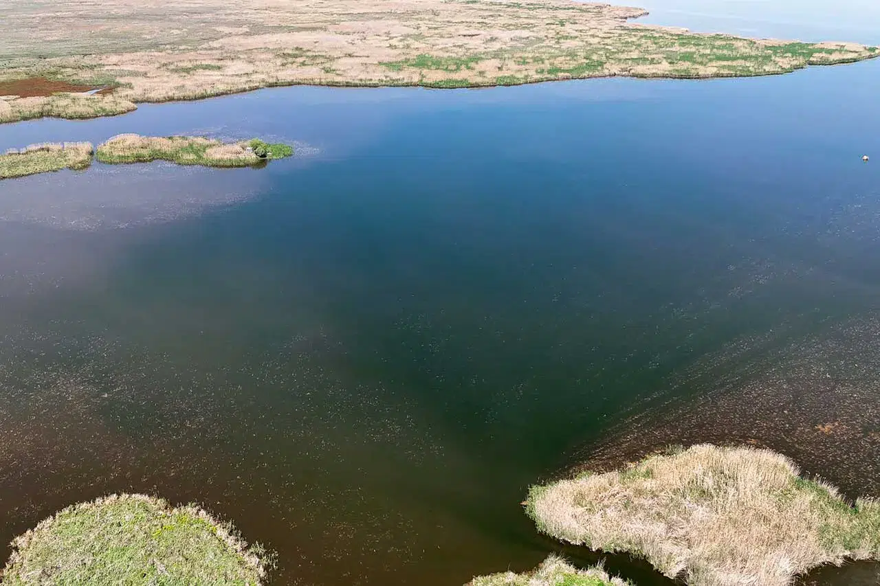Valilik açıkladı! Konya yakınındaki göle girmek yasaklandı
