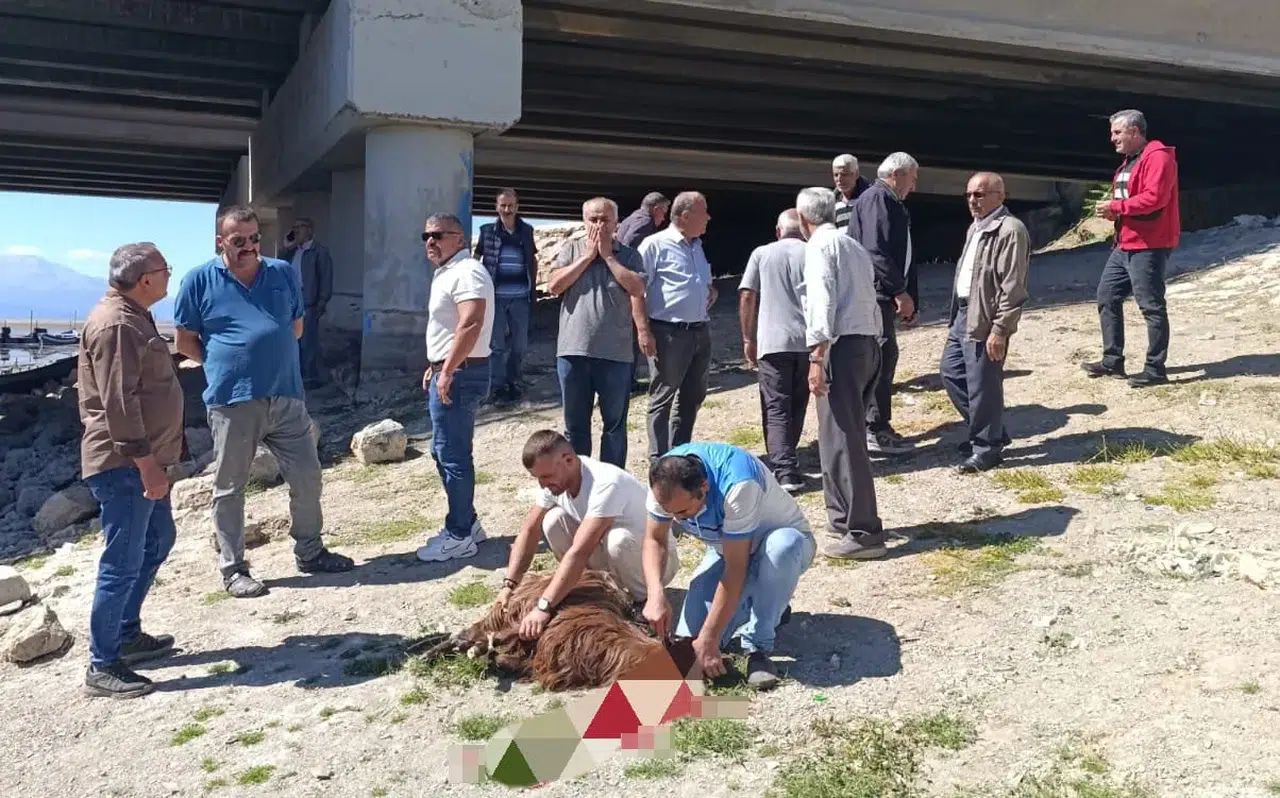 Beyşehirli balıkçılar göl için endişeli! Kurban kestiler
