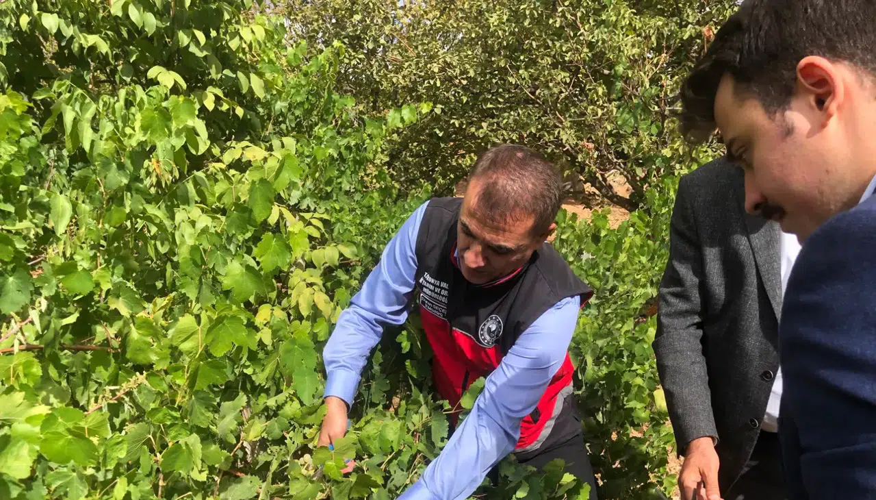 KOP’tan Hadim’e tarımsal kalkınma hamlesi!