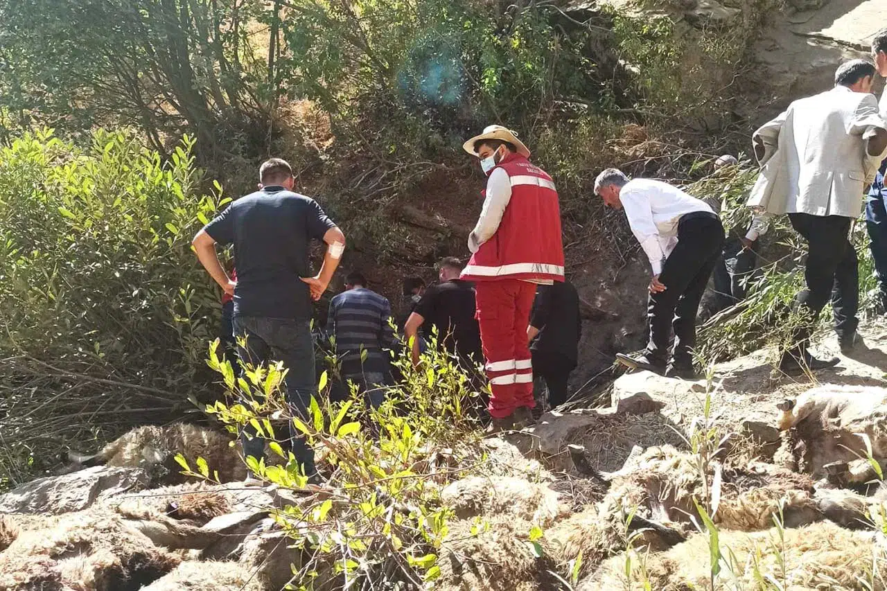 334 koyun uçurumdan düşerek telef oldu