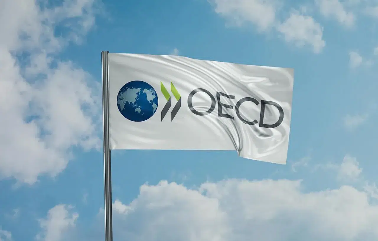 Türkiye’nin acı gerçekleri OECD raporunda
