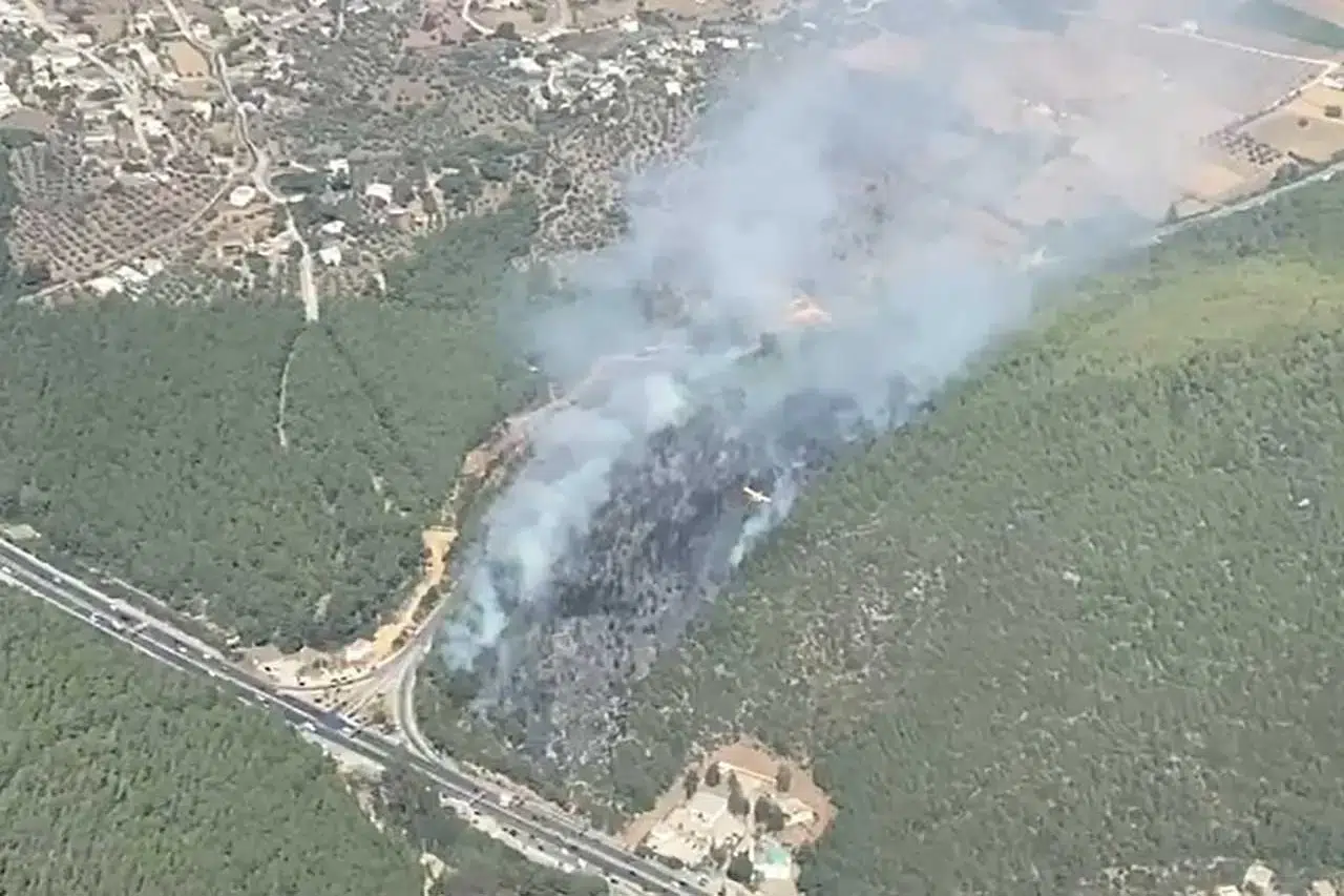 Bodrum'da orman yangını meydana geldi