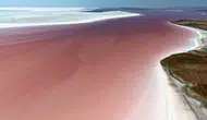 Tuz Gölü'nde doğanın mucizesi! Pembe görüntü hayran bıraktı