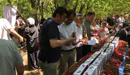 Konya’nın tescilli kirazı dünyaya tanıtıldı