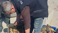 Balıkçılara yakın takip! Beyşehir Gölü'nde sıkı denetim