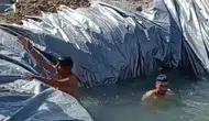 Konyalı çiftçi denizi tarlaya getirdi! Ovada havuz rüzgarı