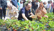 Konya Büyükşehir'den çiftçiye dev destek! 2027 başvuruları başlıyor