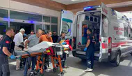 Karaman'da Belçika kurdu küçük çocuğa saldırdı! O anlar kamerada