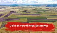 O ilin en verimli toprağı satılıyor