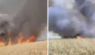 Konya’da kuş alarmı! Tarım arazilerini alev alev yandı