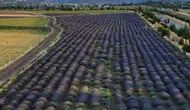 Konya’da 2 gün bahçede şenlik var
