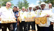 Konya'da yılda 900 ton bal üretiliyor! Hasat sezonu başladı
