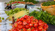 Konya’da yerli ürün tüketmek isteyenler müjde! Pazar açılıyor
