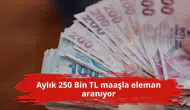 Aylık 250 Bin TL maaşla eleman aranıyor