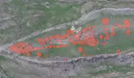 Nuh’un Gemisi için dünyanın gözü Türkiye’de! Gözler laboratuvarda