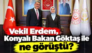 Vekil Erdem, Konyalı Bakan Göktaş ile ne görüştü?