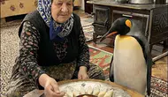 Nihilist Penguen Konyalı oldu! Eğlenceli video geldi