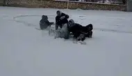 Görüntüler yoğun ilgi gördü! Konya’da karlı arazide asker eğlencesi