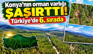 Konya’nın orman varlığı şaşırttı! Türkiye’de 6. sırada