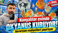 Konyalılar evinde okyanus kuruyor! Akvaryum maliyetleri şaşırtıyor