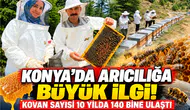 Konya’da arıcılığa büyük ilgi! Kovan sayısı 10 yılda 140 bine ulaştı