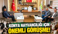 Konya hayvancılığı için önemli görüşme!