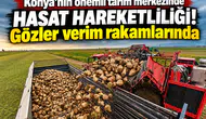 Konya’nın önemli tarım merkezinde hasat hareketliliği! Gözler verim rakamlarında