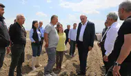 İthalat bitecek! Konya’da patates üretiminde büyük hedef