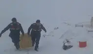 Konya’da duygulandıran müdahale! Saman balyalarıyla hayat kurtarıldı