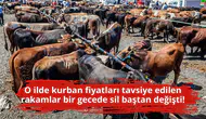 O ilde kurban fiyatları tavsiye edilen rakamlar bir gecede sil baştan değişti!