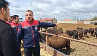 Konya’da Kurban Bayramı yaklaştı! Konya’da İl Müdürü harekete geçti