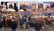 Kurbanlıklar ne kadar? Canlı hayvan pazarında 'kurban' hareketliliği