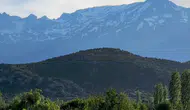 Konya’da doğa mucizesi! Başkan Altay şaştı kaldı