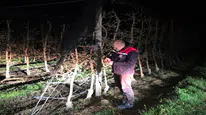 Karaman’da soğuk gece! Üreticiler ürünlerini korumak için mücadele etti